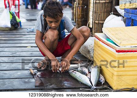 Stock Photograph - A boy cleans fish at the waterfront, local life in the famous Crab Market; Kep, Cambodia. Fotosearch