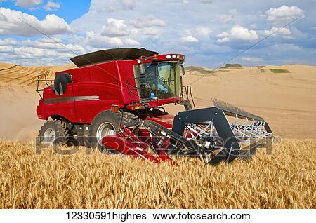 Stock Photograph - A Combine Harvesting Grain In The Palouse Region Of Eastern Washington; Washington, United States Of America. Fotosearch