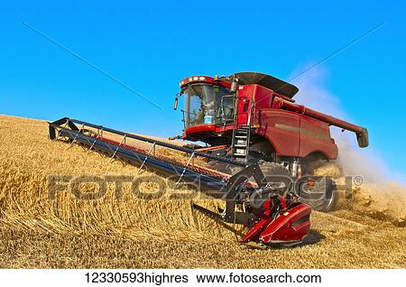 Stock Photograph - A Combine Harvesting Grain In The Palouse Region Of Eastern Washington; Washington, United States Of America. Fotosearch
