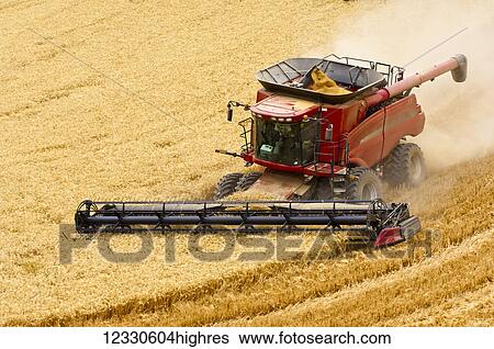 Stock Photograph - A Combine Harvesting Grain In The Palouse Region Of Eastern Washington; Washington, United States Of America. Fotosearch