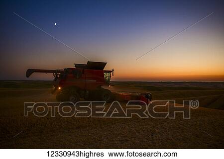 Stock Photograph - A Combine Harvests Grain As The Sun Sets In The Palouse Region Of Eastern Washington; Washington, United States Of America. Fotosearch