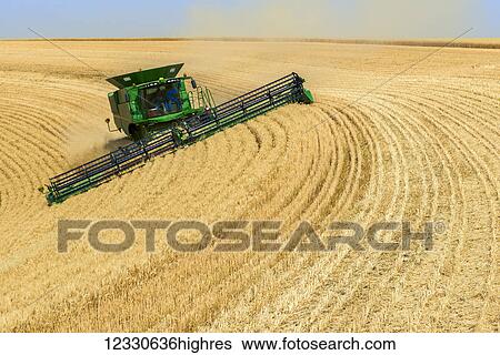 A Combine Harvests Grain In The Palouse Region Of Washington; Washington, United States Of America View Large Photo Image Stock Photograph - A Combine Harvests Grain In The Palouse Region Of Washington; Washington, United States Of America. Fotosearch