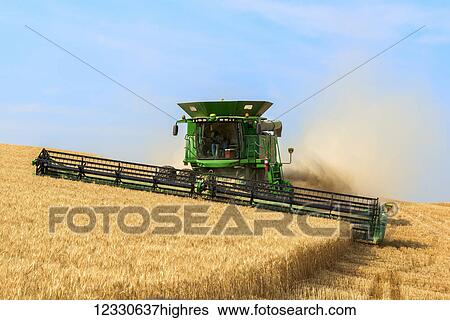 Stock Photograph - A Combine Harvests Grain In The Palouse Region Of Washington; Washington, United States Of America. Fotosearch