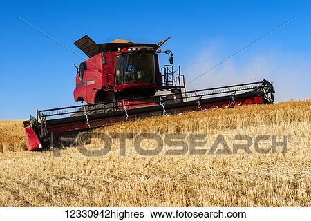 A Combine Harvests Grain In The Palouse Region Of Eastern Washington; Washington, United States Of America View Large Photo Image Stock Photograph - A Combine Harvests Grain In The Palouse Region Of Eastern Washington; Washington, United States Of America. Fotosearch