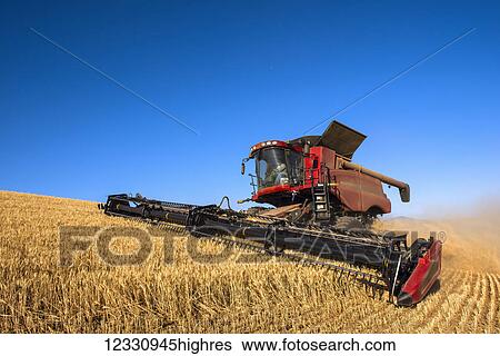 Stock Photograph - A Combine Harvests Grain In The Palouse Region Of Eastern Washington; Washington, United States Of America. Fotosearch