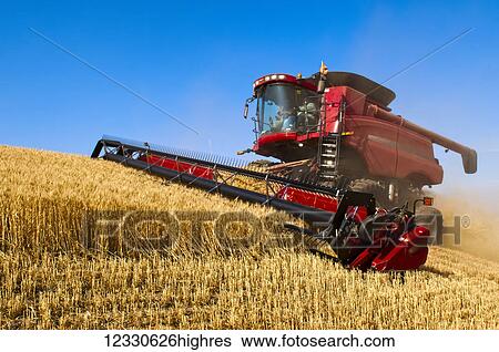 Stock Photograph - A Combine Harvests Grain On The Hills Of The Palouse Region Of Washington; Washington, United States Of America. Fotosearch