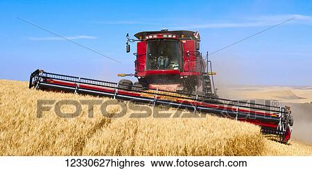 A Combine Harvests Grain On The Hills Of The Palouse Region Of Washington; Washington, United States Of America View Large Photo Image Stock Photograph - A Combine Harvests Grain On The Hills Of The Palouse Region Of Washington; Washington, United States Of America. Fotosearch