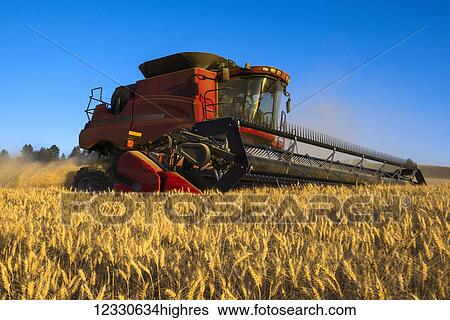 A Combine Harvests Grain On The Hills Of The Palouse Region Of Washington; Washington, United States Of America View Large Photo Image Stock Photograph - A Combine Harvests Grain On The Hills Of The Palouse Region Of Washington; Washington, United States Of America. Fotosearch