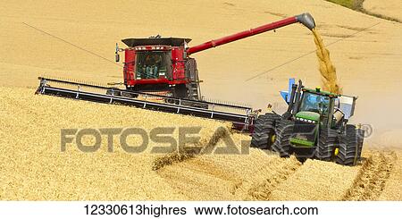 A Combine Offloading Grain To A Tractor Pulled Grain Cart In Southeast Washington; Washington, United States Of America View Large Photo Image Stock Photograph - A Combine Offloading Grain To A Tractor Pulled Grain Cart In Southeast Washington; Washington, United States Of America. Fotosearch