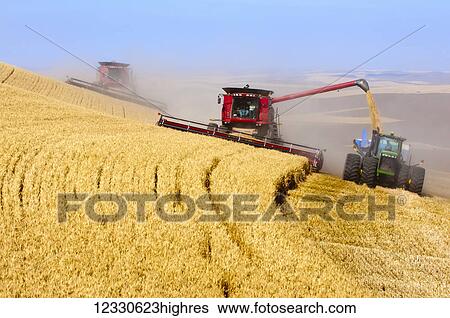 Stock Photograph - A Combine Offloading Grain To A Tractor Pulled Grain Cart In Southeast Washington; Washington, United States Of America. Fotosearch