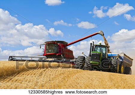 A Combine Offloads Grain To A Tractor Pulled Grain Cart While Harvesting Grain Southeast Washington; Washington, United States Of America View Large Photo Image Stock Photograph - A Combine Offloads Grain To A Tractor Pulled Grain Cart While Harvesting Grain Southeast Washington; Washington, United States Of America. Fotosearch