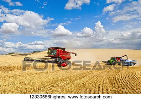A Combine Offloads Grain To A Tractor Pulled Grain Cart While Harvesting Grain Southeast Washington; Washington, United States Of America View Large Photo Image Stock Photograph - A Combine Offloads Grain To A Tractor Pulled Grain Cart While Harvesting Grain Southeast Washington; Washington, United States Of America. Fotosearch