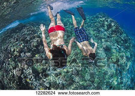 A couple free diving at Molokini Marine Preserve off the island of Maui; Maui, Hawaii, United States of America View Large Photo Image Picture - A couple free diving at Molokini Marine Preserve off the island of Maui; Maui, Hawaii, United States of America. Fotosearch