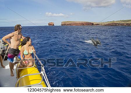 Stock Photograph - A couple looks on as two spinner dolphins (Stenella longirostris) leap into the air out from Puu Pehe or Sweetheart Rock off the island of Lanai; Lanai, Hawaii, United States of America. Fotosearch