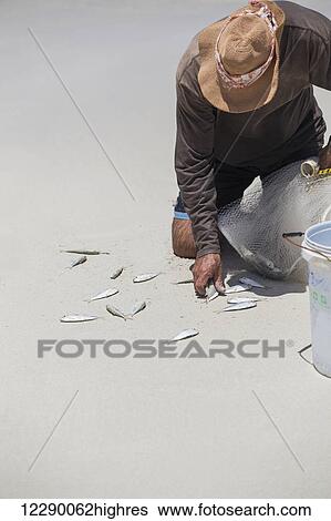 Stock Photograph - A Cuban man collects his catch of fish off the sand on the beach; Varadero, Cuba. Fotosearch