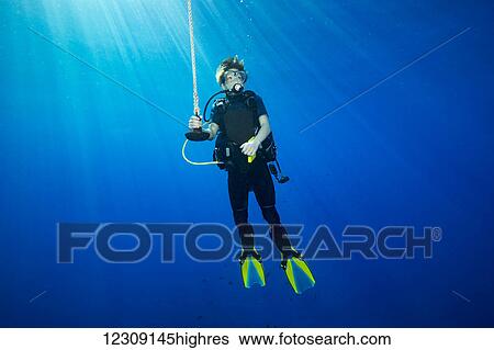 A diver hanging on a line at 15 feet for a decompression stop before surfacing; Hawaii, United States of America View Large Photo Image Stock Photograph - A diver hanging on a line at 15 feet for a decompression stop before surfacing; Hawaii, United States of America. Fotosearch