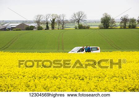A drive through the English countryside which is covered in vibrant yellow Rapeseed flowers; Cotswolds, England View Large Photo Image Stock Photograph - A drive through the English countryside which is covered in vibrant yellow Rapeseed flowers; Cotswolds, England. Fotosearch