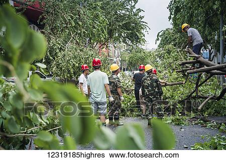 Stock Photograph - A few hours after super typhoon Merapi passed through Xiamen, it generated mass damage throughout the city; Xiamen, Fujian province, China. Fotosearch