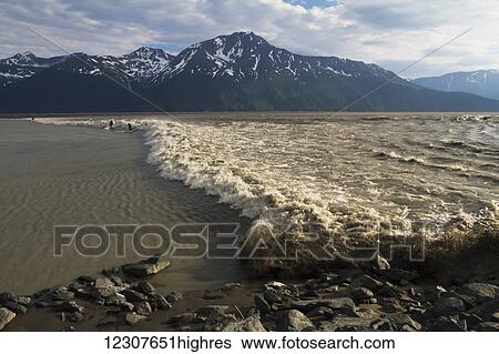 A few surfers ride a large bore tide in Turnagain Arm in Summer. Southcentral Alaska. Mile 94 Seward Highway. View Large Photo Image Stock Photograph - A few surfers ride a large bore tide in Turnagain Arm in Summer. Southcentral Alaska. Mile 94 Seward Highway.. Fotosearch