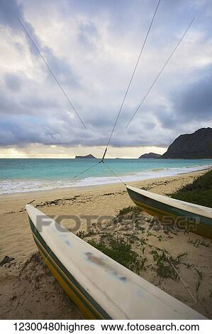 A Hobie Cat rests on the sand, Waimanalo Beach; Oahu, Hawaii, United States of America View Large Photo Image Stock Photograph - A Hobie Cat rests on the sand, Waimanalo Beach; Oahu, Hawaii, United States of America. Fotosearch