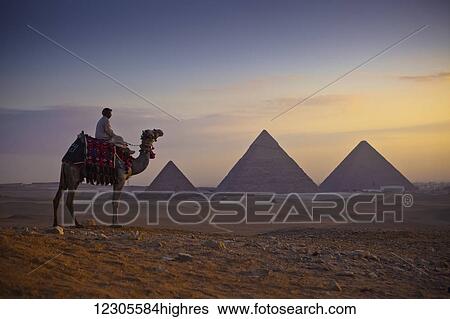 A lone camel and rider stand in front of the setting sun with the great pyramids behind them; Giza, Egypt View Large Photo Image Stock Photograph - A lone camel and rider stand in front of the setting sun with the great pyramids behind them; Giza, Egypt. Fotosearch