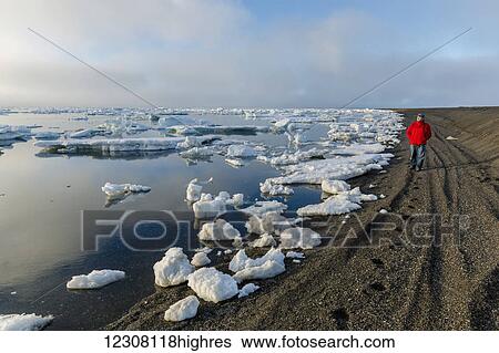 Stock Photograph - A man at the shore of the Arctic Ocean looking out towards the sun setting through dense fog, Barrow, North Slope, Arctic Alaska, USA, Summer. Fotosearch