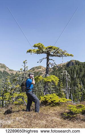 Stock Photograph - A man hikes along Gavin Hill Ridge on a clear day, Sitka, Southeast Alaska, USA, Summer. Fotosearch