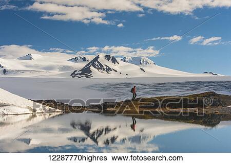 A man hiking by a lake with the Harding Icefield and the Nunatak peaks in the background, Kenai Fjords National Park, Southcentral Alaska View Large Photo Image Stock Photograph - A man hiking by a lake with the Harding Icefield and the Nunatak peaks in the background, Kenai Fjords National Park, Southcentral Alaska. Fotosearch