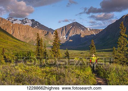 A man Hiking in South Fork near Eagle River on a summer day in South Central Alaska. View Large Photo Image Stock Photograph - A man Hiking in South Fork near Eagle River on a summer day in South Central Alaska.. Fotosearch