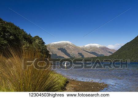 Stock Photograph - A man practices fly fishing at Mavora Lake; Mavora, Southland, New Zealand. Fotosearch
