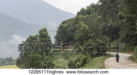 Stock Photograph - A man walking down a road in a valley; Punakha, Bhutan. Fotosearch