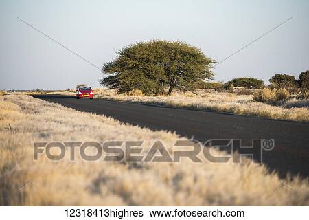 Stock Photograph - A perspective view of a modern asphalt road with red car riding across Namibian dry grass fields; Namibia. Fotosearch