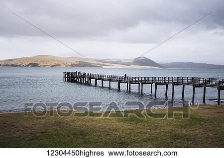 A pier extends into the Hokianga Harbor, the Tasman Sea in the background; Omapere, Northland, New Zealand View Large Photo Image Stock Photograph - A pier extends into the Hokianga Harbor, the Tasman Sea in the background; Omapere, Northland, New Zealand. Fotosearch