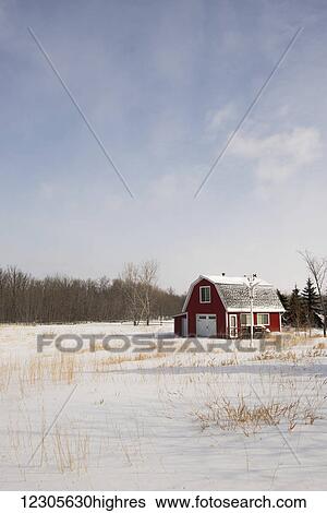 A red barn house in the country in winter; Winnipeg, Manitoba, Canada View Large Photo Image Stock Photograph - A red barn house in the country in winter; Winnipeg, Manitoba, Canada. Fotosearch