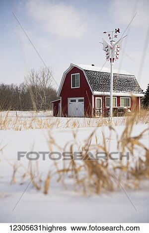A red barn house in the country with grass and snow in the foreground; Winnipeg, Manitoba, Canada View Large Photo Image Stock Photograph - A red barn house in the country with grass and snow in the foreground; Winnipeg, Manitoba, Canada. Fotosearch