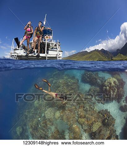 A split scene of divers stepping off a dive boat into the Pacific Ocean with a snorkler below on the reef, out from Ukumehame; Maui, Hawaii, United States of America View Large Photo Image Stock Photograph - A split scene of divers stepping off a dive boat into the Pacific Ocean with a snorkler below on the reef, out from Ukumehame; Maui, Hawaii, United States of America. Fotosearch