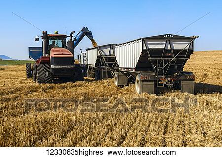 Stock Photograph - A Tractor And Grain Cart Offloading Harvested Grain Into A Transport Truck; Washington, United States Of America. Fotosearch