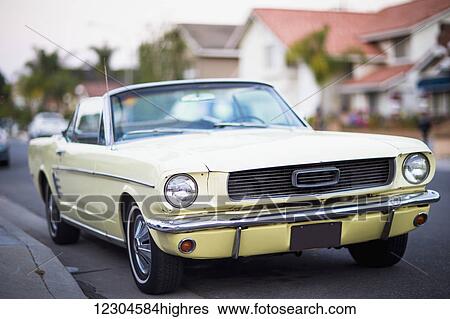 A vintage 1966 Ford Mustang sits on the street; Fountain Valley, California, United States of America View Large Photo Image Stock Photograph - A vintage 1966 Ford Mustang sits on the street; Fountain Valley, California, United States of America. Fotosearch