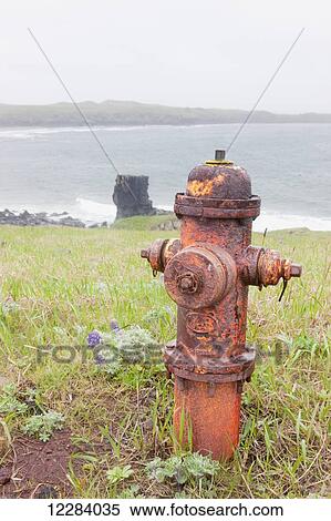 A weathered fire hydrant stands among lupine on the tundra on the coast of the Bering Sea, St. Paul Island, Southwestern Alaska, USA, Summer View Large Photo Image Stock Photography - A weathered fire hydrant stands among lupine on the tundra on the coast of the Bering Sea, St. Paul Island, Southwestern Alaska, USA, Summer. Fotosearch