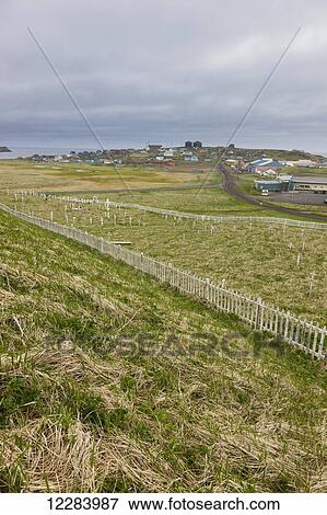 A weathered picket fence surrounds the grave crosses in the cemetary outside St. Paul, St. Paul Island, Southwestern Alaska, USA, Summer View Large Photo Image Stock Photo - A weathered picket fence surrounds the grave crosses in the cemetary outside St. Paul, St. Paul Island, Southwestern Alaska, USA, Summer. Fotosearch