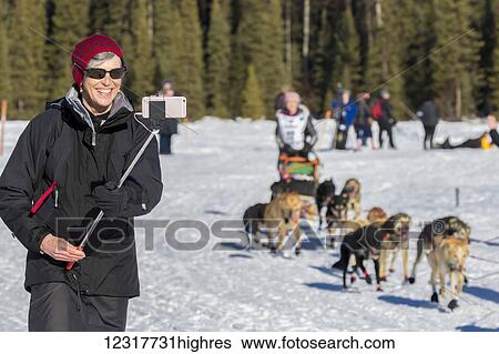Stock Photograph - A woman tourist takes an smart phone photo of a musher in the start of the Iditarod Race on Willow Lake, Alaska, USA, Winter.. Fotosearch