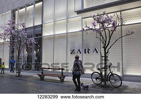 Stock Photo - A woman with a small dog and other shoppers in the commercial district of the city centre passing a branch of Spanish clothes empire Zara and magnolia trees with pink blossoms; San Sebastian, Spain. Fotosearch