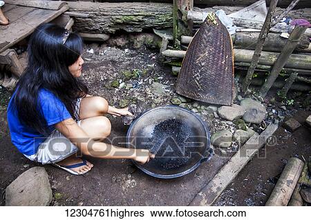Stock Photograph - A young Lintang resident roasts coffee beans in her backyard in a wok; Sumatra, Indonesia. Fotosearch