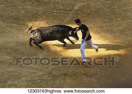 A young man running with a bull in a bullring; Alcala de Henares, Madrid, Spain View Large Photo Image Stock Photograph - A young man running with a bull in a bullring; Alcala de Henares, Madrid, Spain. Fotosearch
