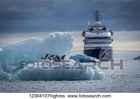 Stock Photograph - Adelie penguins (Pygoscelis adeliae) on iceberg with liner behind; Antarctica. Fotosearch