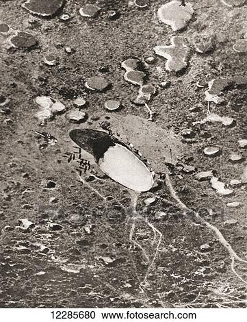 Aerial view of the capture of a war balloon on the western front during World War One. From The Pageant of the Century, published 1934 View Large Photo Image Stock Image - Aerial view of the capture of a war balloon on the western front during World War One. From The Pageant of the Century, published 1934. Fotosearch