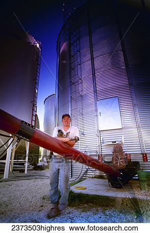 Agriculture - A farmer poses leaning on a grain auger while loading grain from a grain bin into a truck / Manitoba, Canada. View Large Photo Image Stock Photograph - Agriculture - A farmer poses leaning on a grain auger while loading grain from a grain bin into a truck / Manitoba, Canada.. Fotosearch