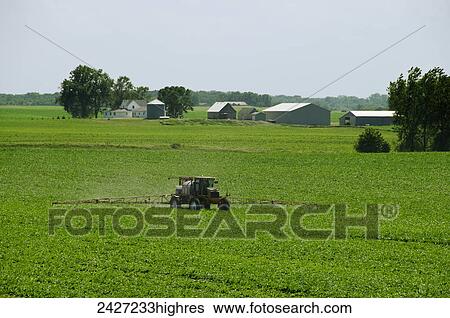 Stock Photograph - Agriculture - A RoGator spraying an early growth grain corn field / near Truman, Minnesota, USA.. Fotosearch