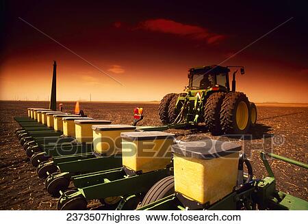 Stock Photograph - Agriculture - A tractor and planter plant dry beans in late afternoon light / Manitoba, Canada.. Fotosearch