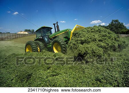 Agriculture - A tractor packing a bunker silo with hay silage (haylage) / Elsie, Michigan, USA. View Large Photo Image Stock Photograph - Agriculture - A tractor packing a bunker silo with hay silage (haylage) / Elsie, Michigan, USA.. Fotosearch